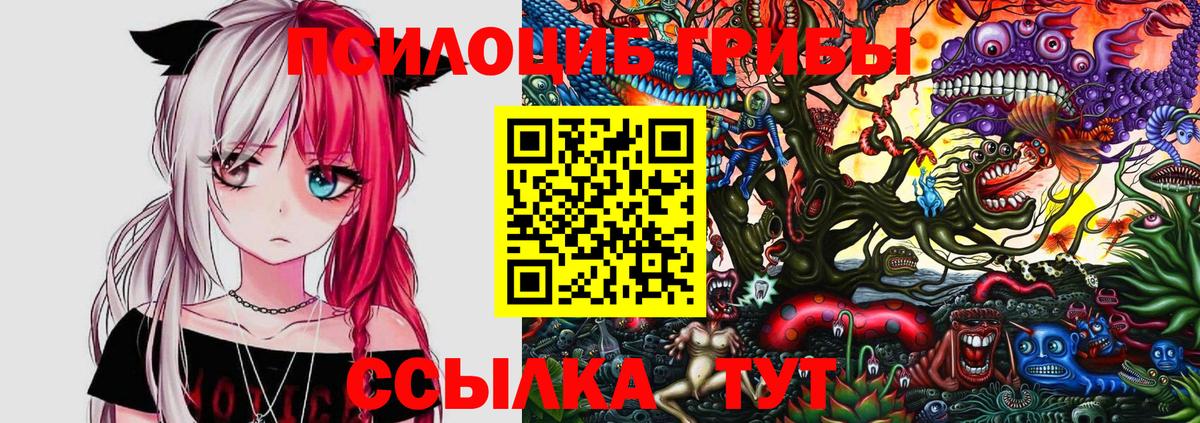 Псилоцибиновые грибы Psilocybe Отрадное