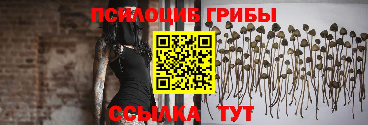 Галлюциногенные грибы мицелий  Вход с VPN  Отрадное 
